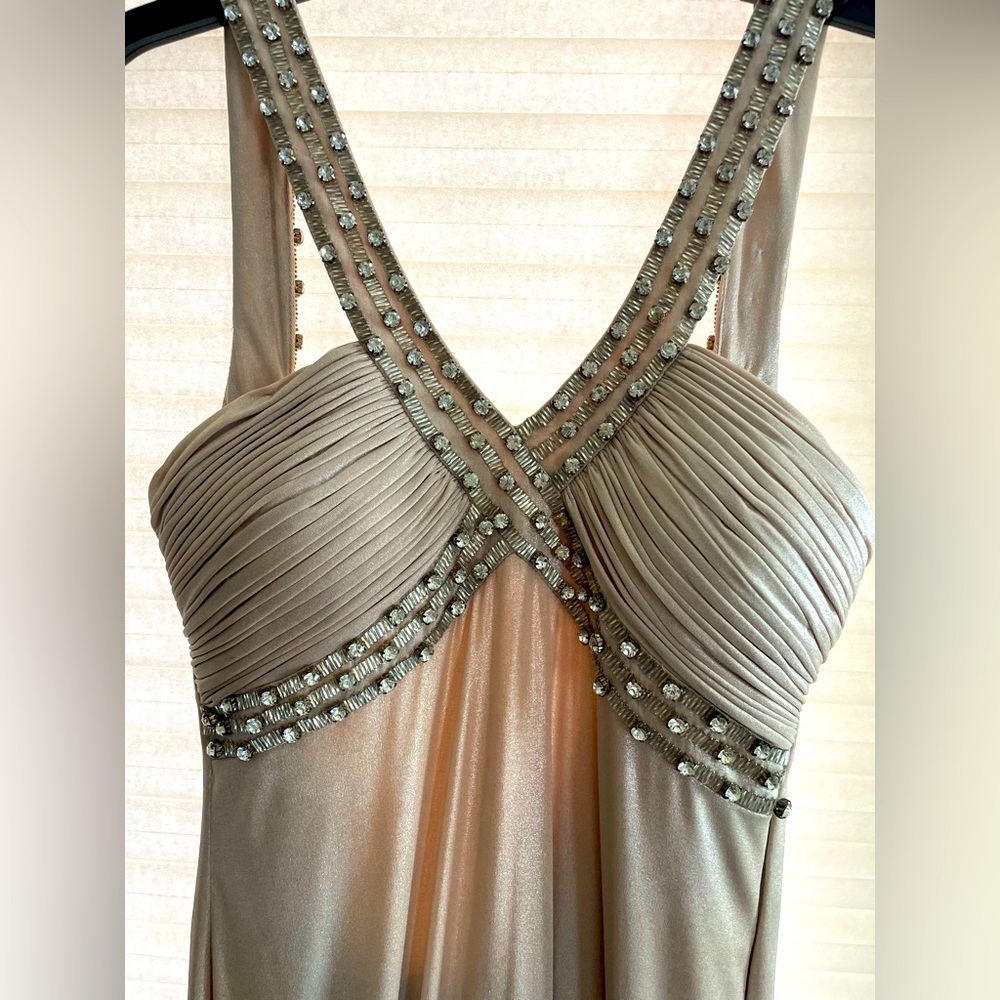 Alberto Makali Shimmery Champagne Beige Embellished Gown